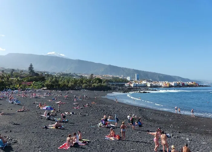 迪莱克米尔公寓 洛斯雷尔雷赫斯